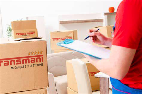 verificação Transmani